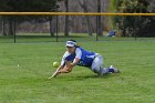 Softball vs Babson  Wheaton College Softball vs Babson College. - Photo by Keith Nordstrom : Wheaton, Softball, Babson, NEWMAC